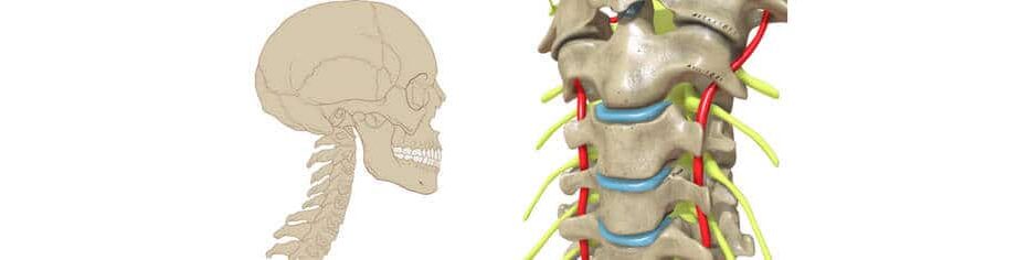 tratamiento rectificación cervical